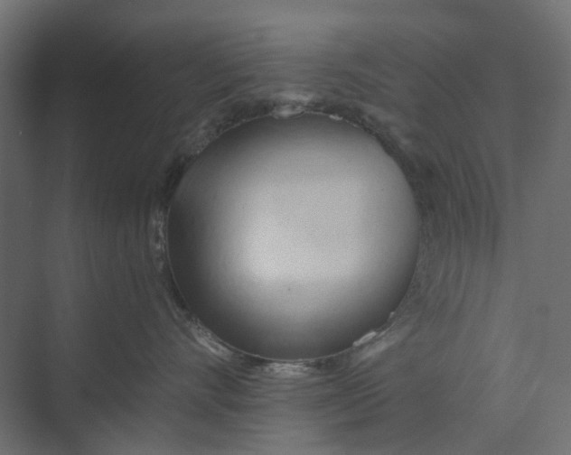 X0000073410528200608181058