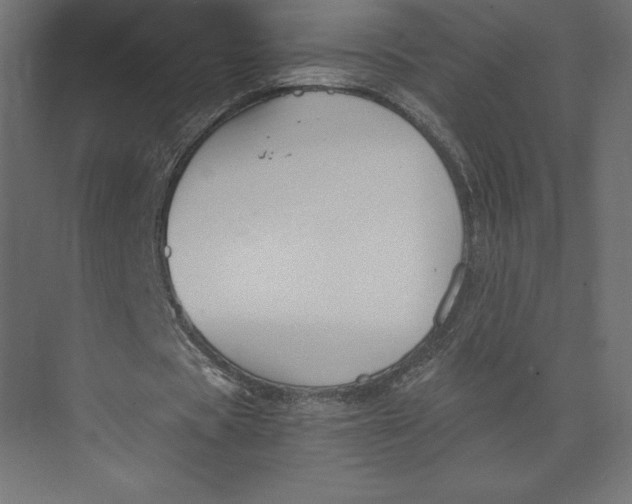 X0000073410529200608181057