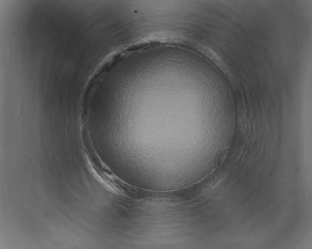 X0000073410530200608181057