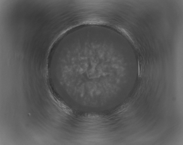 X0000073410531200608181057