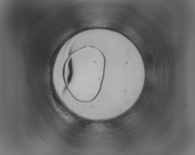 X0000073410534200608181057