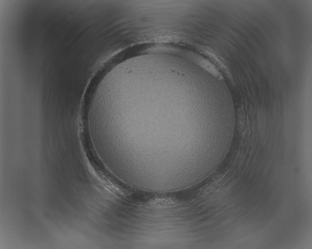 X0000073410536200608181058