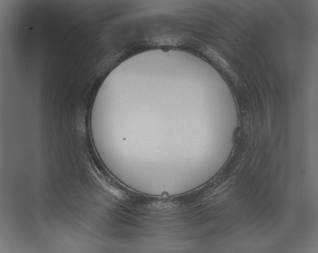 X0000073410537200608181058