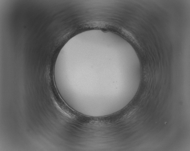 X0000073410538200608181058