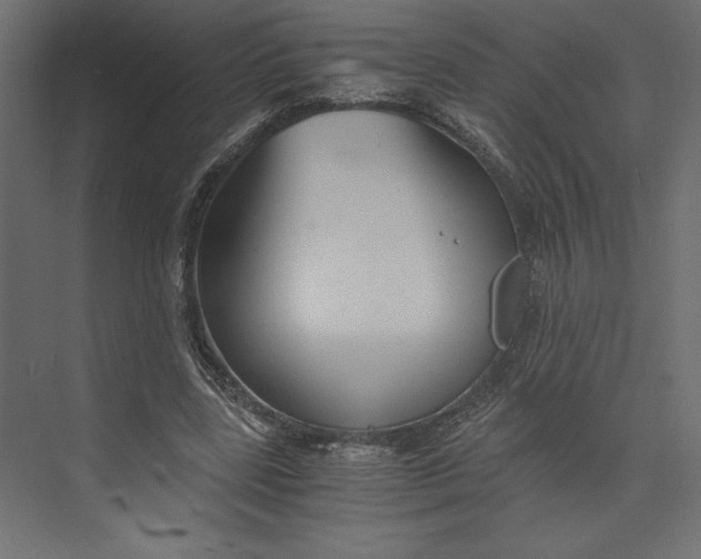 X0000073410539200608181058