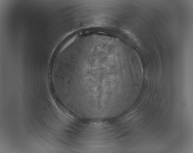 X0000073410540200608181058