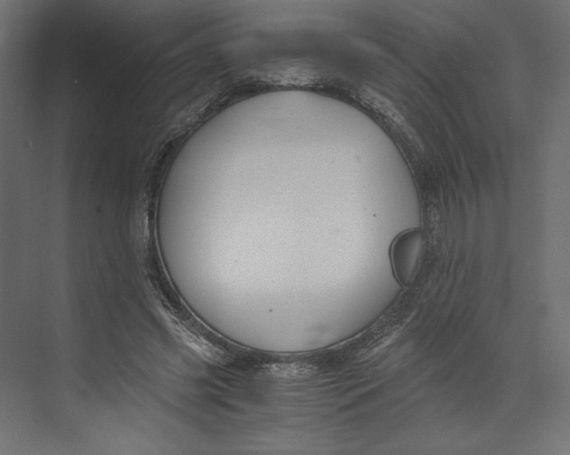 X0000073410541200608181058