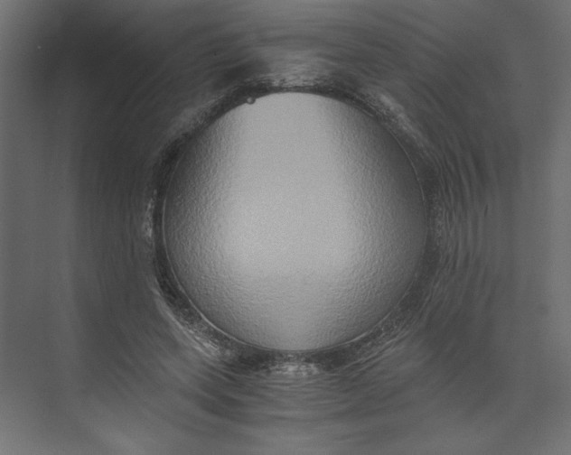 X0000073410543200608181058