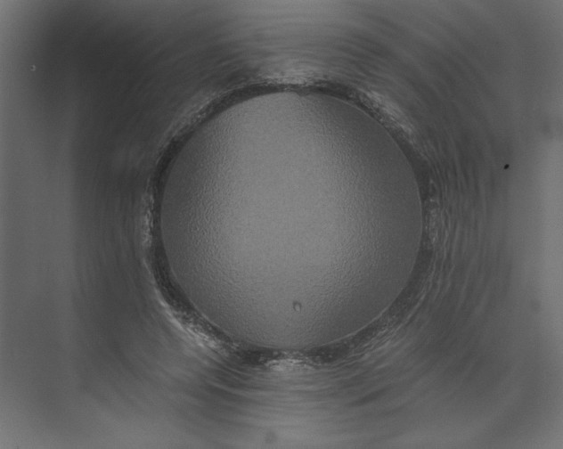 X0000073410544200608181058