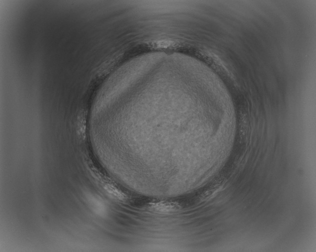 X0000073410545200608181058