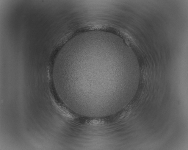 X0000073410546200608181058