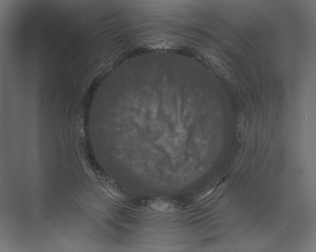 X0000073410547200608181058