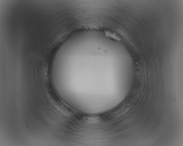 X0000073410548200608181058