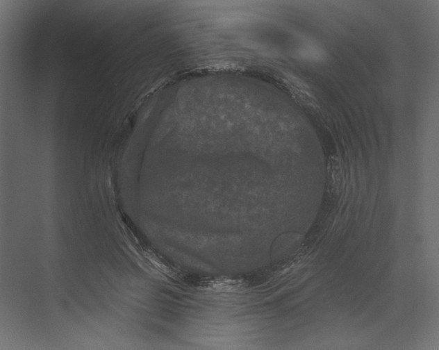 X0000073410550200608181058