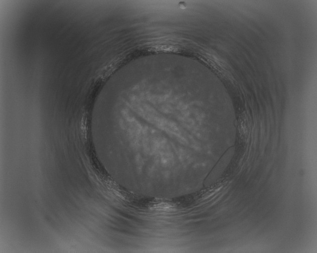 X0000073410551200608181058