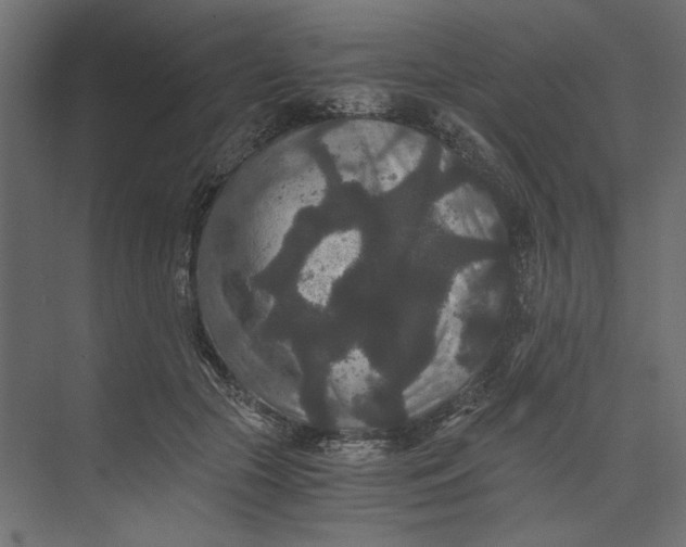 X0000073410553200608181058