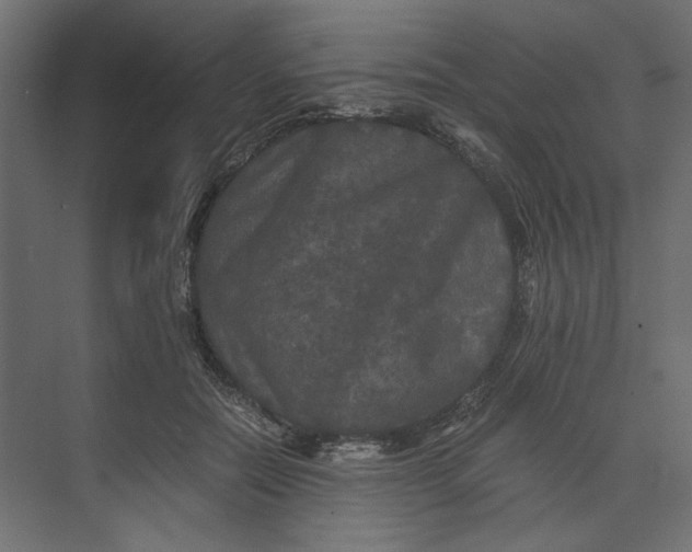 X0000073410554200608181058