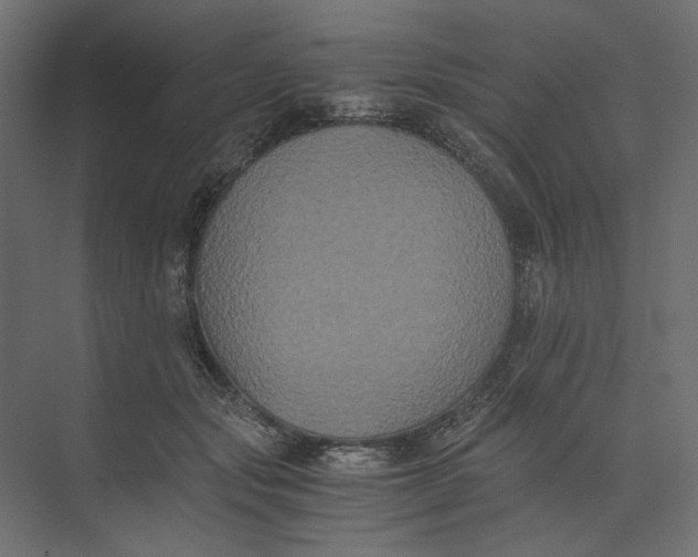 X0000073410557200608181058