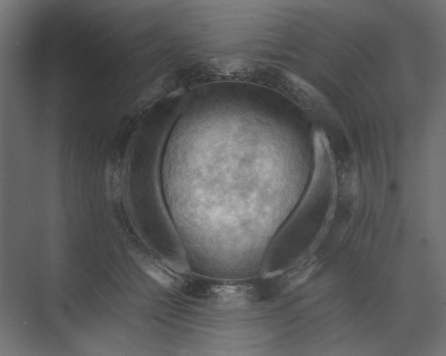 X0000073410558200608181058