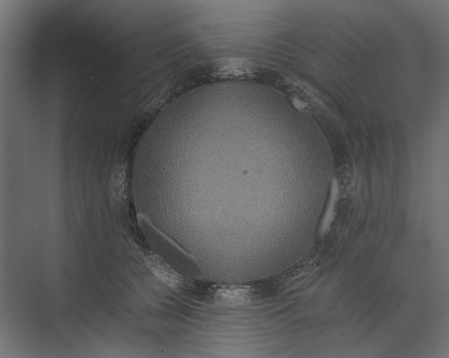 X0000073410560200608181058