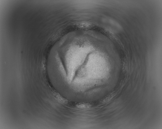 X0000073410561200608181058