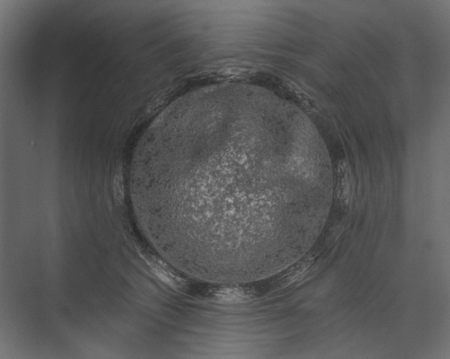 X0000073410562200608181058