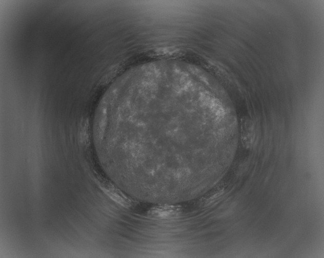 X0000073410563200608181058