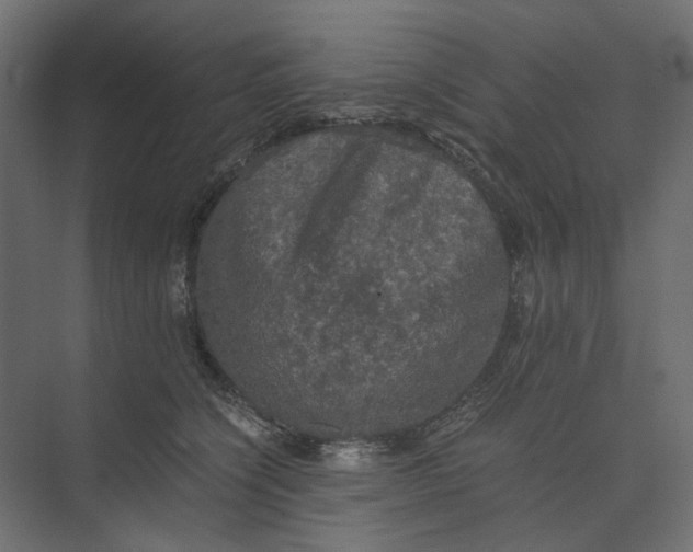 X0000073410564200608181058