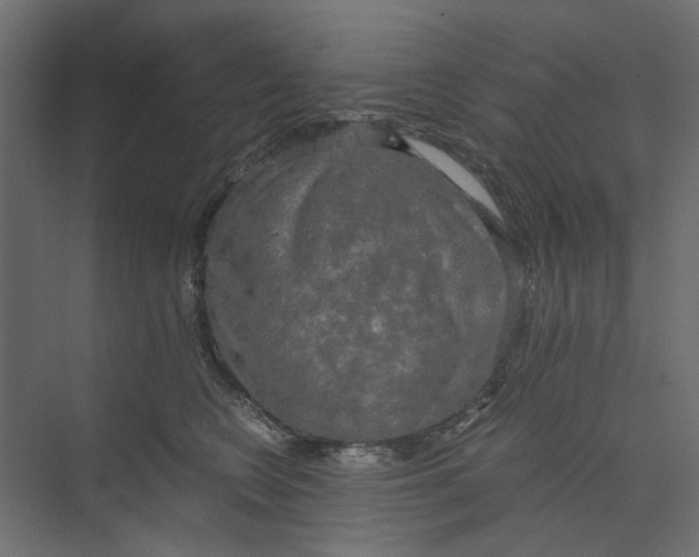 X0000073410566200608181058