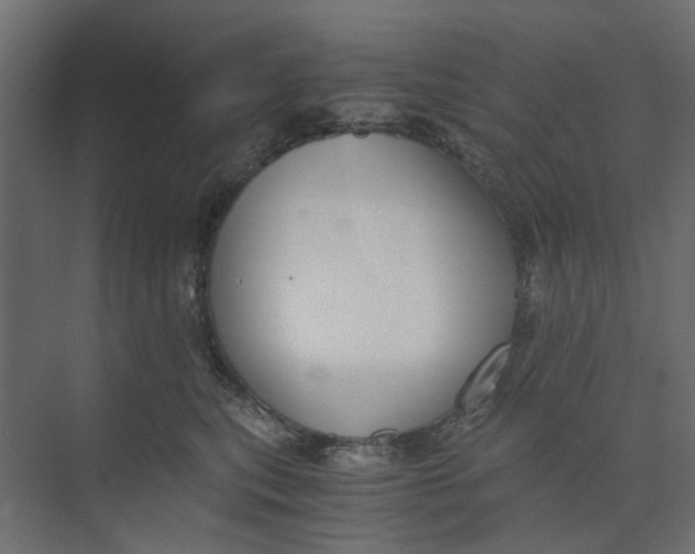 X0000073410567200608181058