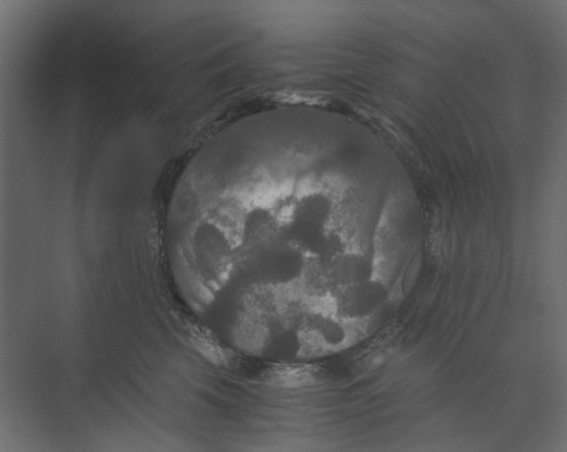 X0000073410569200608181058