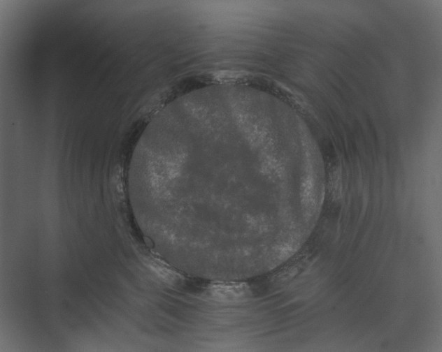 X0000073410571200608181058