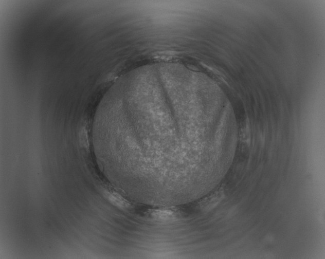 X0000073410572200608181058