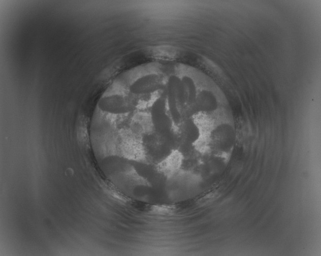 X0000073410573200608181058