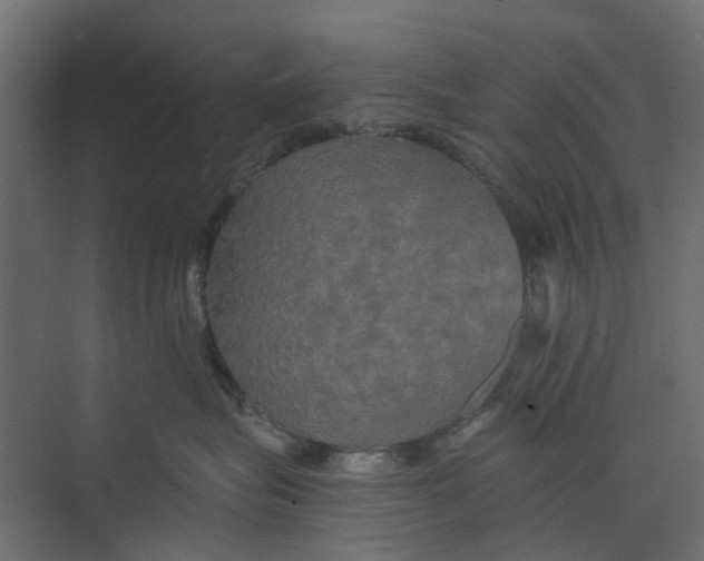 X0000073410575200608181058