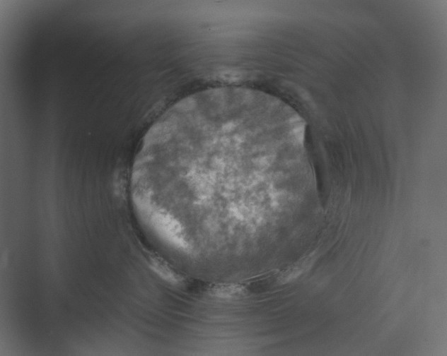 X0000073410576200608181058