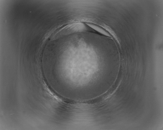 X0000073410577200608181057