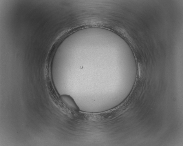 X0000073410579200608181057