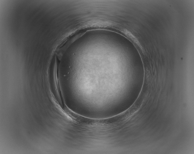 X0000073410581200608181057