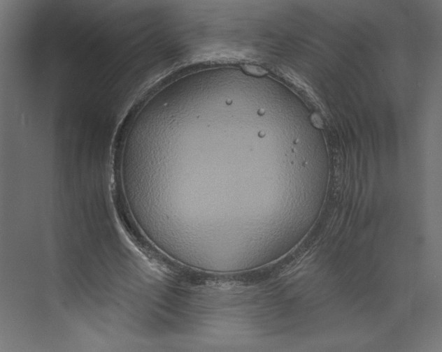 X0000073410582200608181057