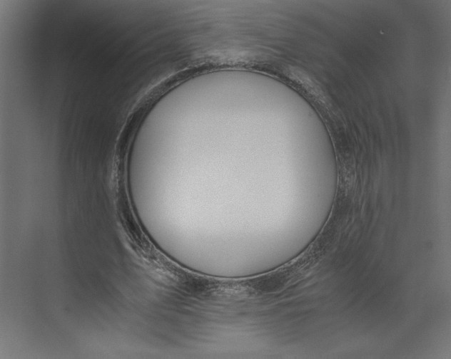 X0000073410583200608181057