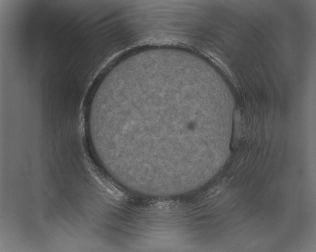 X0000073410584200608181057