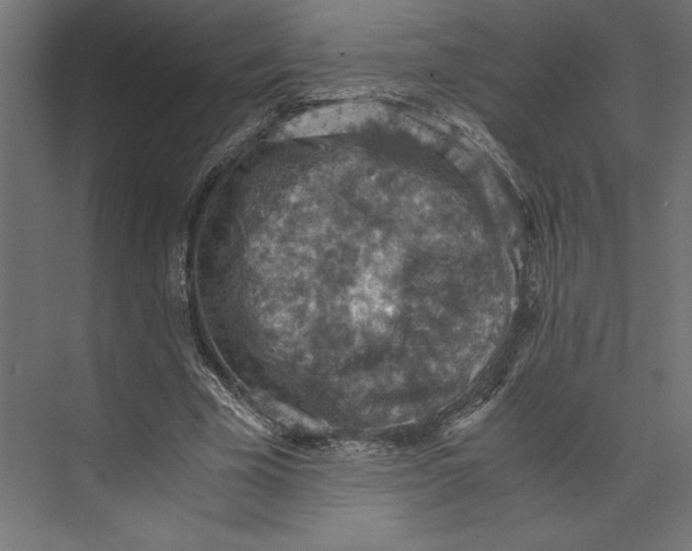 X0000073410585200608181057