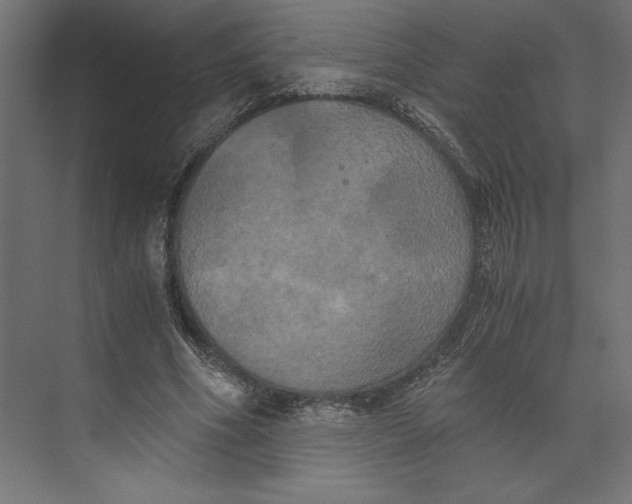 X0000073410586200608181057