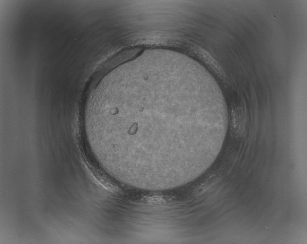 X0000073410588200608181057