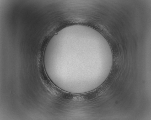 X0000073410591200608181057