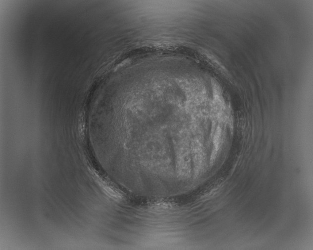 X0000073410593200608181057