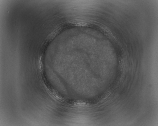 X0000073410598200608181057