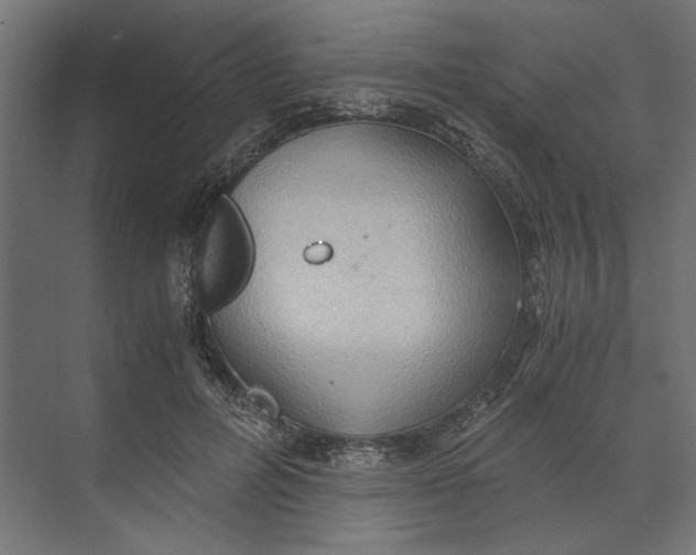 X0000073410600200608181057