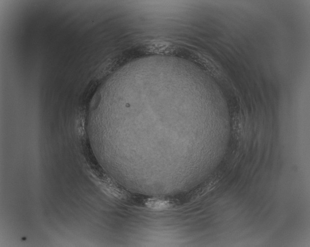 X0000073410602200608181057